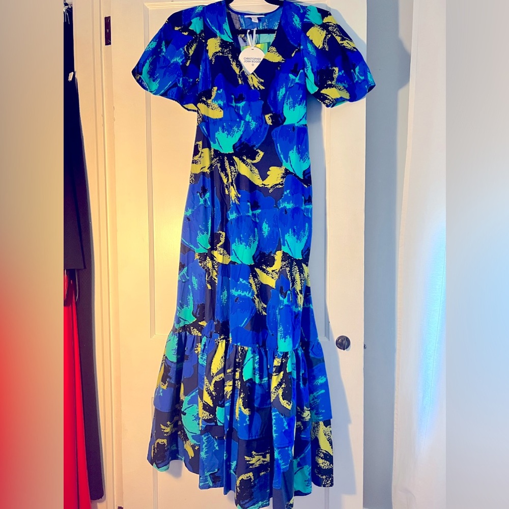 NWT Christopher John Rogers for Target maxi dress (size two)